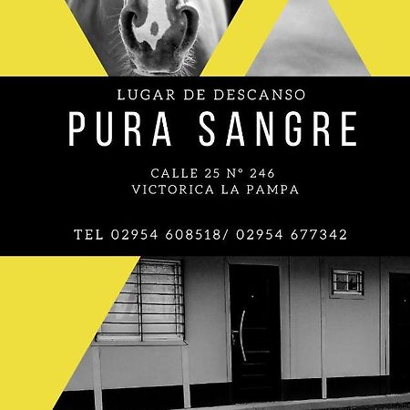 Pura Sangre Bed and Breakfast Victorica Exterior foto