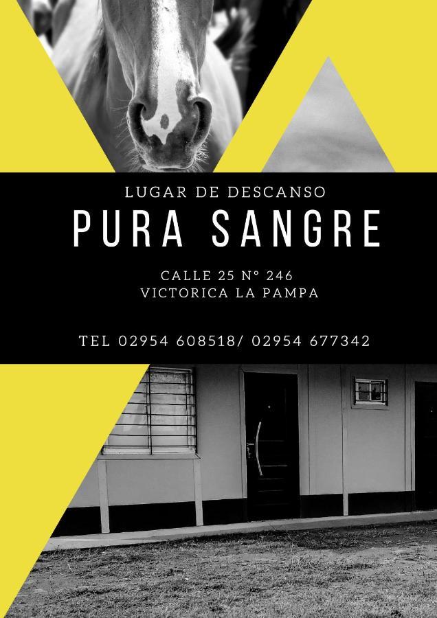 Pura Sangre Bed and Breakfast Victorica Exterior foto