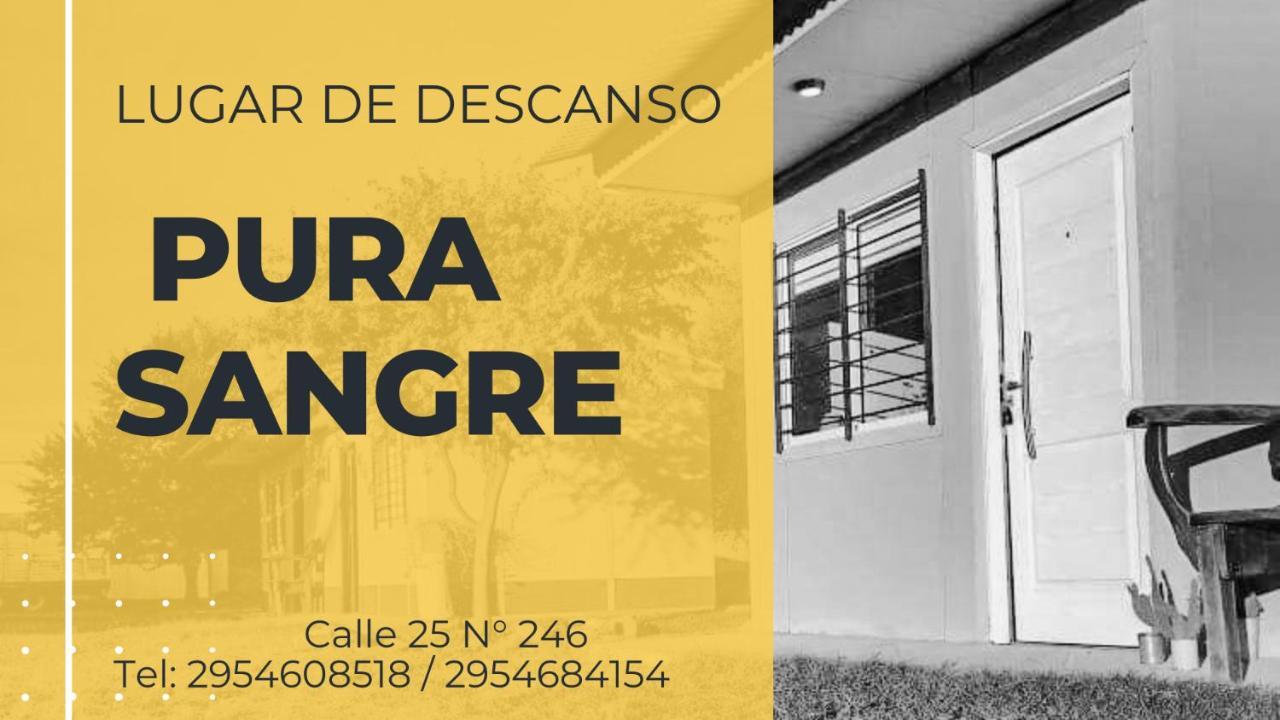 Pura Sangre Bed and Breakfast Victorica Exterior foto